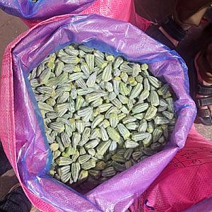 Frozen Egyptian Okra