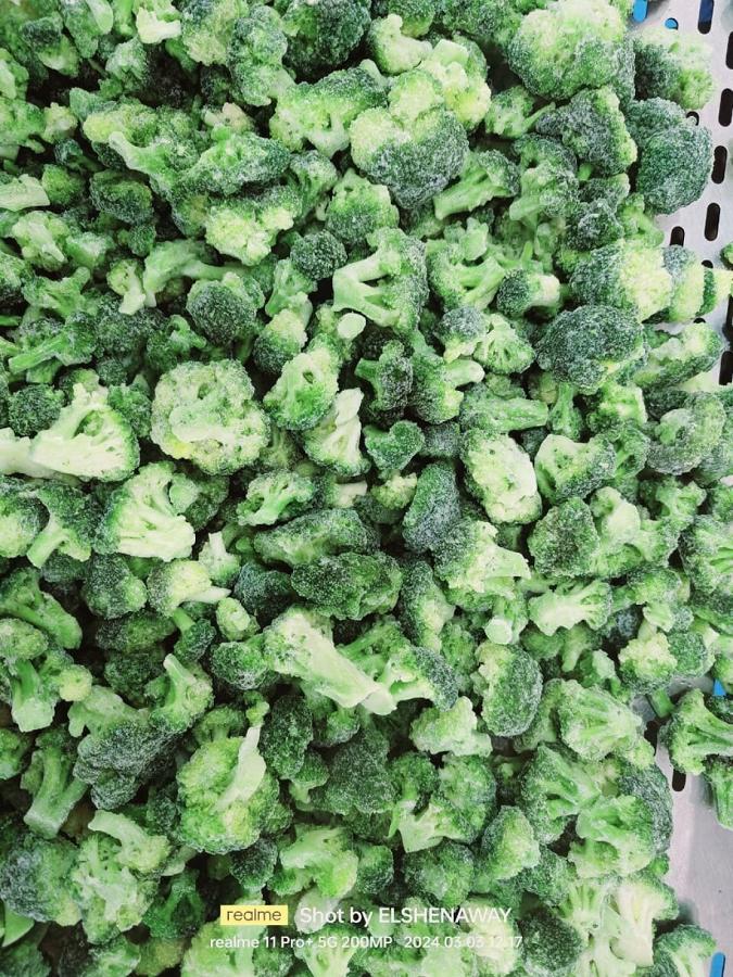 Frozen Egyptian Broccoli