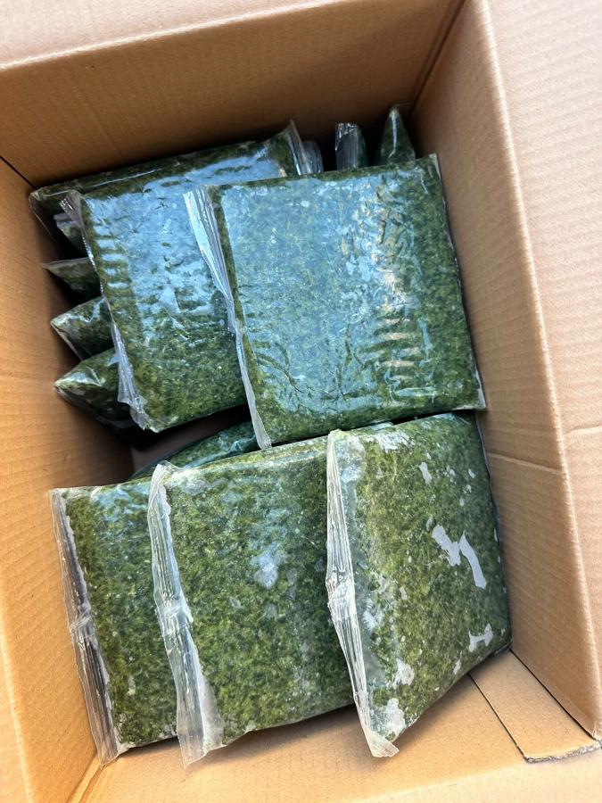 Frozen Egyptian Molokhia
